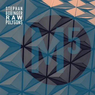 Raw Polygons EP by Stephan Bobinger