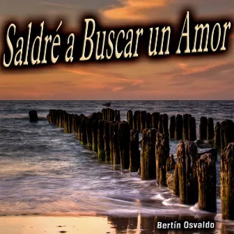 Saldré a Buscar un Amor - Single by Bertin Osvaldo