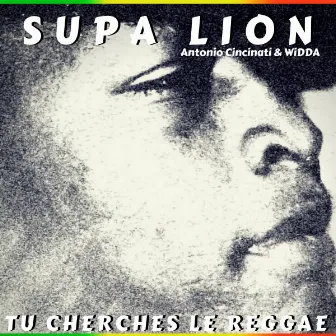 Tu cherches le reggae by Supa Lion