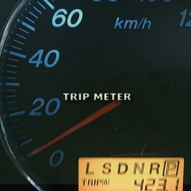 TRIP METER