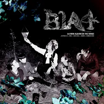 IN THE WIND by B1A4