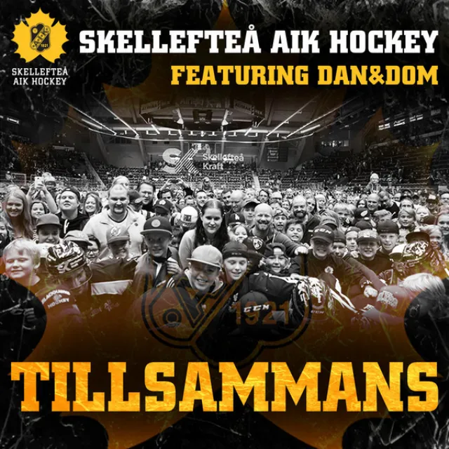 Tillsammans (feat. Dan & Dom)