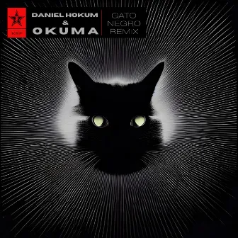 Gato Negro (Daniel Hokum & Okuma Remix) by Daniel Hokum