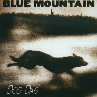 Dog Days by Blue Mountain