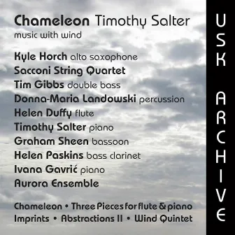 Chameleon: Music with Wind by Unknown Artist