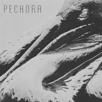 Dark Waters by Pechora