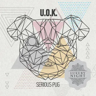 Serious Pug by U.O.K.