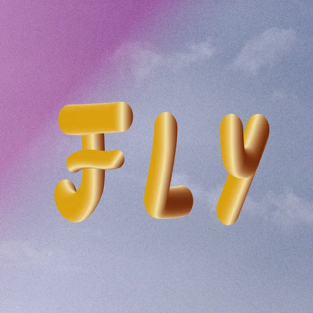 Fly