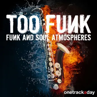 Too Funk (Funk and Soul Atmospheres) by Too Funk Project