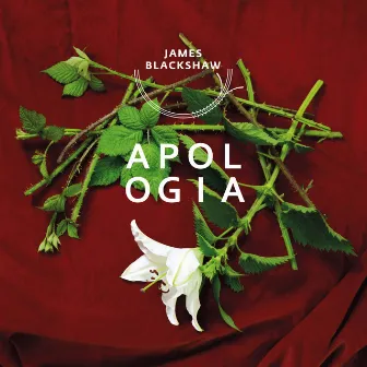 Apologia by James Blackshaw