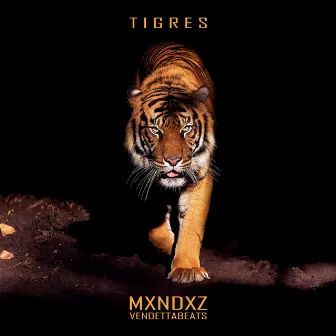 TIGRES by VendettaBeats_