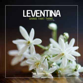 Shake That Thing by Leventina