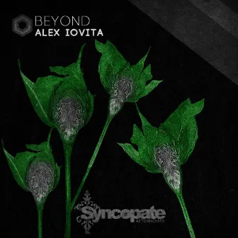 Beyond by Alex Iovita