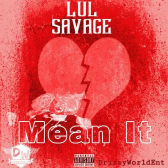 Mean It by LulSavage