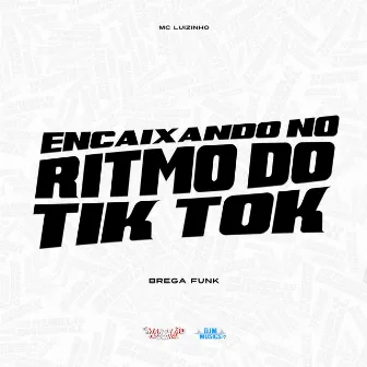 Encaixando no Ritmo do Tik Tok by Brega Funk