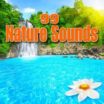 99 Nature Sounds by Best Nature Sounds