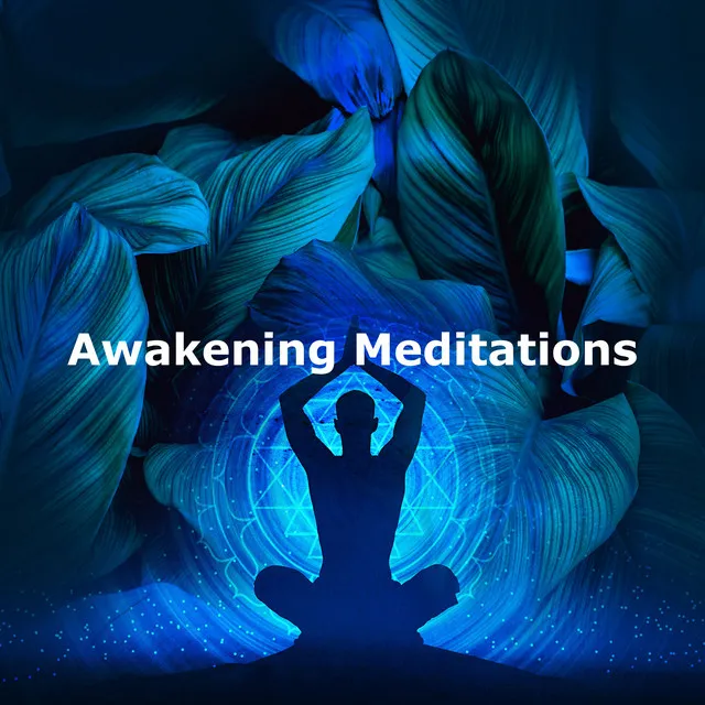 Awakening Meditations