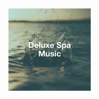 Deluxe spa music by Unknown Artist