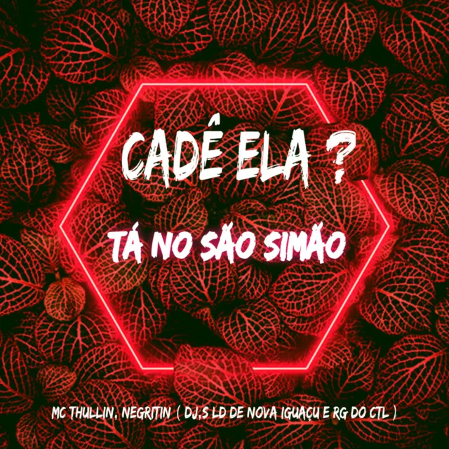 = CADÊ ELA, TÁ NO SÃO SIMÃO DANDO PROS CRIA DE NOVO ( DJ's LD DE NOVA IGUAÇU & RG DO CASTELAR )