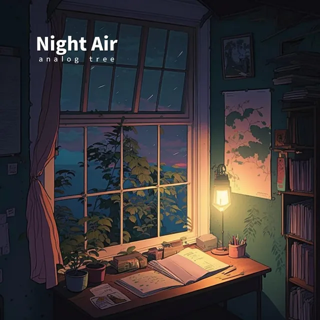 Night Air