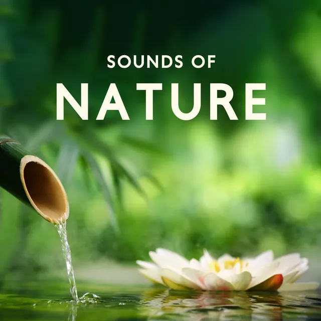 Sounds of Nature: Instrumental Melodies for Relax, Meditation, Spa and Sleep Aid