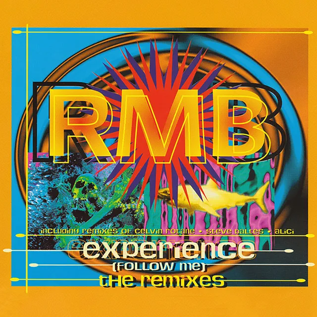 Experience (Follow Me) - Alici Remix