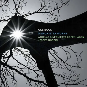 Ole Buck: Sinfonietta Works by Athelas Sinfonietta Copenhagen