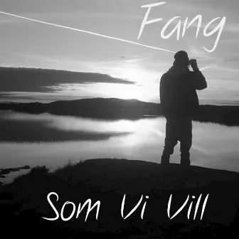 Som Vi Vill by Fang