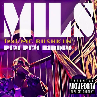 Pum Pum Riddim (feat. MC Bushkin) by Mils