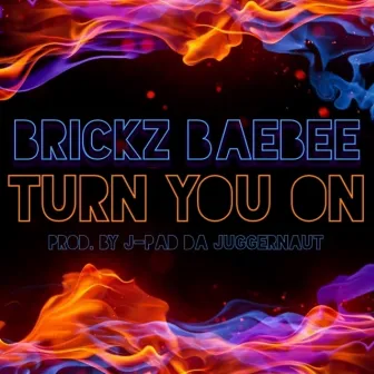 Turn You On by Brickz Baebee