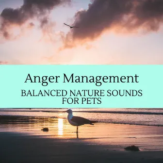 Anger Management - Balanced Nature Sounds for Pets by Rainbow Wave Sounds Library