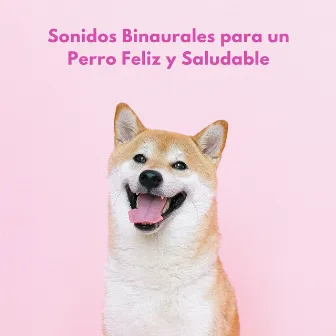 Sonidos Binaurales Para Un Perro Feliz Y Saludable by Club de música para perros