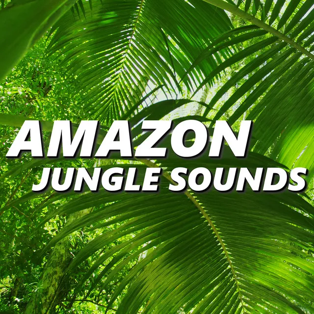 Amazon Jungle Sounds