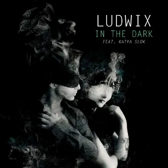 In the Dark by Ludwix