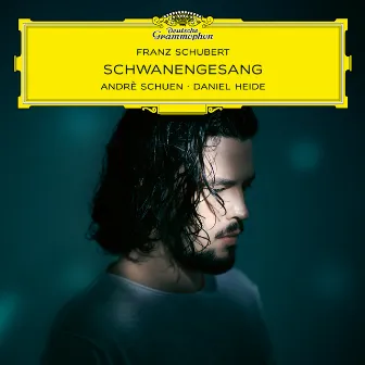 Schubert: Schwanengesang by Daniel Heide