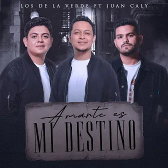 Amarte Es Mi Destino by Los De La Verde