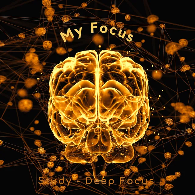 My Focus