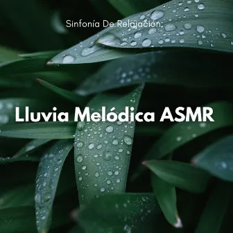 Sinfonía De Relajación: Lluvia Melódica ASMR by Relax sin fin