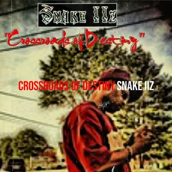 Crossroads of Destiny by Snake IIz