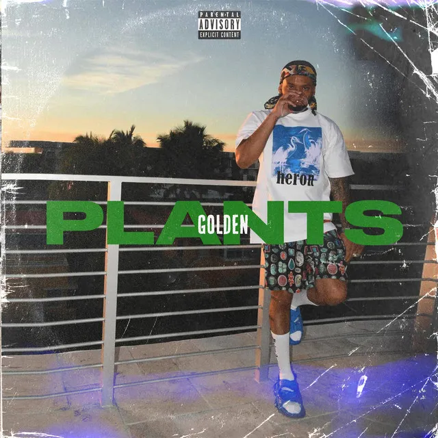 Plants