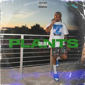 Plants by Golden