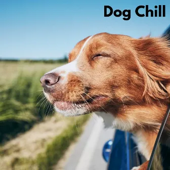 Dog Chill (Loopable, No Fade) by Chiens relaxation profonde