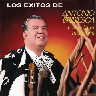 Los Éxitos de Antonio Bribiesca Y su Guitarra Mexicana by Antonio Bribiesca