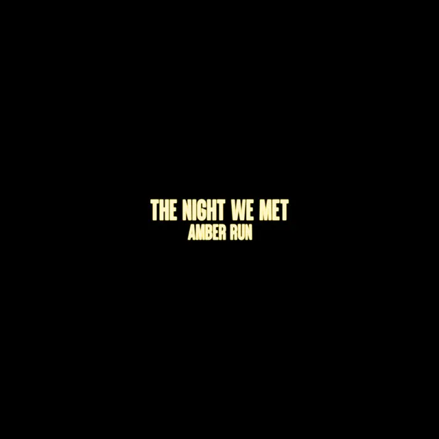 The Night We Met