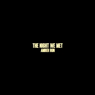 The Night We Met by Amber Run