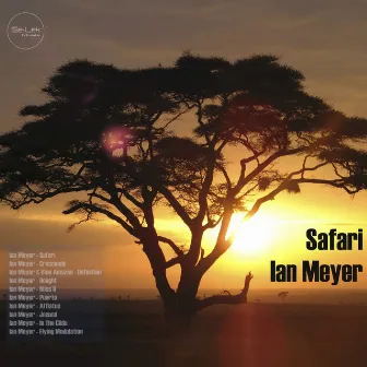 Safari by Ian Meyer