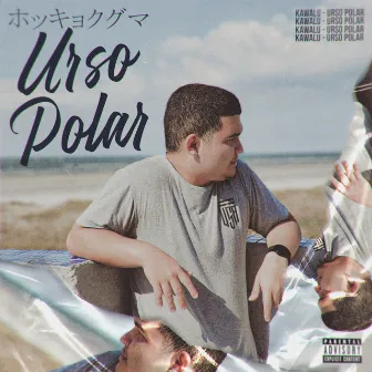 Urso Polar by kawalu