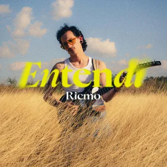 Entendí by Ricmo