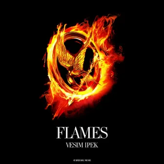 Flames by Vesim Ipek