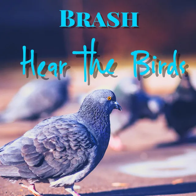 Hear the Birds